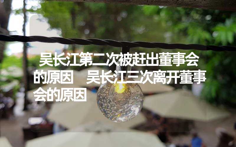 吴长江第二次被赶出董事会的原因 吴长江三次离开董事会的原因
